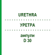 УРЕТРА (URETHRA) D 30 ампулы 10x1 мл - Гомеопатия WALA HEILMITTEL