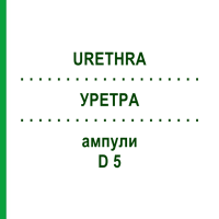 УРЕТРА (URETHRA) D 5 ампули 10x1 мл - Гомеопатія WALA HEILMITTEL