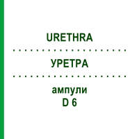 УРЕТРА (URETHRA) D 6 ампули 10x1 мл - Гомеопатія WALA HEILMITTEL