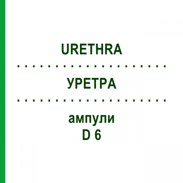УРЕТРА (URETHRA) D 6 ампулы 10x1 мл - Гомеопатия WALA HEILMITTEL