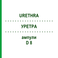 УРЕТРА (URETHRA) D 8 ампули 10x1 мл - Гомеопатія WALA HEILMITTEL