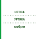 УРТИКА (URTICA) глобули 10 г - Гомеопатия SUPRA-CELL