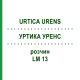 УРТИКА УРЕНС (URTICA URENS) LM 13 раствор 10 мл - Гомеопатия ARCANA DR.SEWERIN