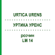 УРТИКА УРЕНС (URTICA URENS) LM 14 раствор 10 мл - Гомеопатия ARCANA DR.SEWERIN