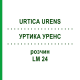 УРТИКА УРЕНС (URTICA URENS) LM 24 раствор 10 мл - Гомеопатия ARCANA DR.SEWERIN