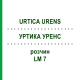УРТИКА УРЕНС (URTICA URENS) LM 7 раствор 10 мл - Гомеопатия ARCANA DR.SEWERIN