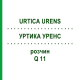 УРТИКА УРЕНС (URTICA URENS) Q 11 розчин 15 мл - Гомеопатія GUDJONS
