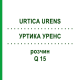 УРТИКА УРЕНС (URTICA URENS) Q 15 розчин 15 мл - Гомеопатія GUDJONS