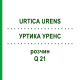 УРТИКА УРЕНС (URTICA URENS) Q 21 розчин 15 мл - Гомеопатія GUDJONS