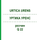 УРТИКА УРЕНС (URTICA URENS) Q 22 розчин 15 мл - Гомеопатія GUDJONS