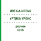 УРТИКА УРЕНС (URTICA URENS) Q 26 розчин 15 мл - Гомеопатія GUDJONS