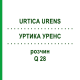 УРТИКА УРЕНС (URTICA URENS) Q 28 розчин 15 мл - Гомеопатія GUDJONS