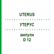 УТЕРУС (UTERUS) D 12 ампулы 10x1 мл - Гомеопатия WALA HEILMITTEL