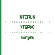 УТЕРУС (UTERUS) ампулы 10x1 мл - Гомеопатия WALA HEILMITTEL