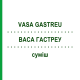 ВАСА ГАСТРЕУ (VASA GASTREU) смесь 22 мл - Гомеопатия DR.RECKEWEG