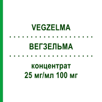 ВЕГЗЕЛЬМА (VEGZELMA) 25 мг/мл 100 мг концентрат 1 шт - Активные вещества CELLTRION HEALTHCARE