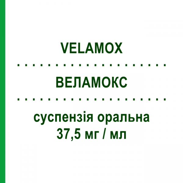 ВЕЛАМОКС (VELAMOX) 37,5 мг/мл суспензія оральна 100 мл - Амоксицилін NEOPHARMED GENTILI