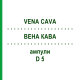 ВЕНА КАВА (VENA CAVA) D 5 ампули 10x1 мл - Гомеопатія WALA HEILMITTEL