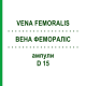 ВЕНА ФЕМОРАЛІС (VENA FEMORALIS) D 15 ампули 10x1 мл - Гомеопатія WALA HEILMITTEL