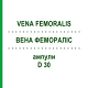 ВЕНА ФЕМОРАЛІС (VENA FEMORALIS) D 30 ампули 10x1 мл - Гомеопатія WALA HEILMITTEL