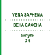 ВЕНА САФЕНА (VENA SAPHENA) D 6 ампулы 10x1 мл - Гомеопатия WALA HEILMITTEL