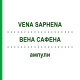 ВЕНА САФЕНА (VENA SAPHENA) ампулы 10x1 мл - Гомеопатия WALA HEILMITTEL