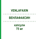 ВЕНЛАФАКСИН (VENLAFAXIN) 75 мг капсулы 100 шт - Венлафаксин AXCOUNT GENERIKA