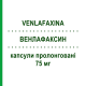 ВЕНЛАФАКСИН (VENLAFAXINA) 75 мг капсулы пролонгированные 14 шт - Венлафаксин TEVA