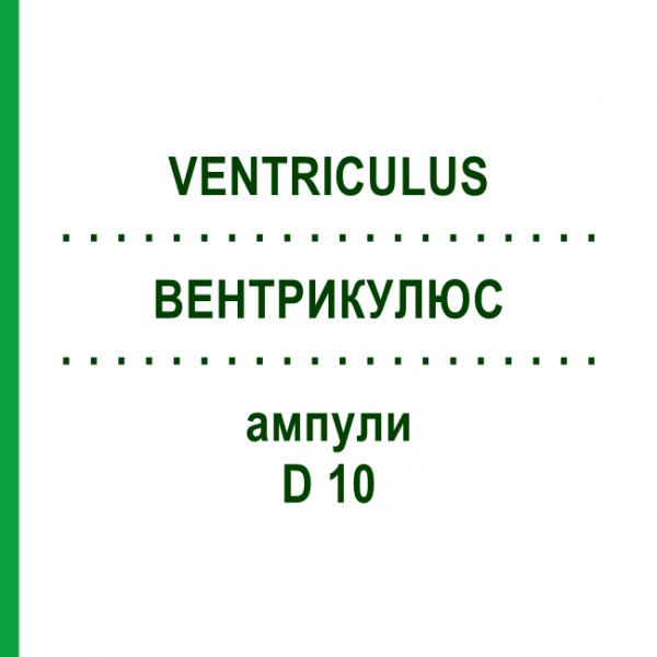 ВЕНТРИКУЛЮС (VENTRICULUS) D 10 ампули 10x1 мл - Гомеопатія WALA HEILMITTEL