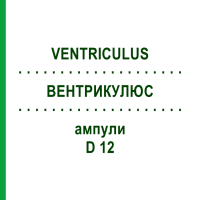 ВЕНТРИКУЛЮС (VENTRICULUS) D 12 ампули 10x1 мл - Гомеопатія WALA HEILMITTEL