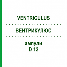 ВЕНТРИКУЛЮС (VENTRICULUS) D 12 ампулы 10x1 мл - Гомеопатия WALA HEILMITTEL
