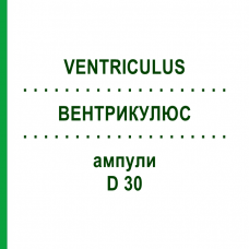 ВЕНТРИКУЛЮС (VENTRICULUS) D 30 ампули 10x1 мл - Гомеопатія WALA HEILMITTEL