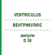 ВЕНТРИКУЛЮС (VENTRICULUS) D 30 ампули 10x1 мл - Гомеопатія WALA HEILMITTEL