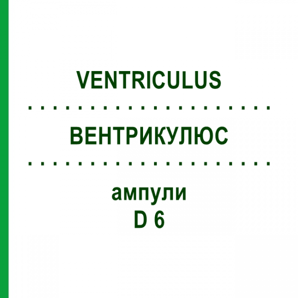 ВЕНТРИКУЛЮС (VENTRICULUS) D 6 ампули 10x1 мл - Гомеопатія WALA HEILMITTEL