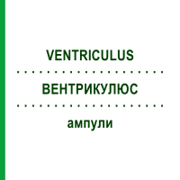 ВЕНТРИКУЛЮС (VENTRICULUS) ампули 10x1 мл - Гомеопатія WALA HEILMITTEL