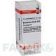 ВЕРАТРУМ ВИРИДЕ (VERATRUM VIRIDE) D 6 глобули 10 г - Гомеопатия DHU