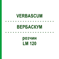 ВЕРБАСКУМ (VERBASCUM) LM 120 раствор 10 мл - Гомеопатия ARCANA DR.SEWERIN