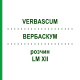 ВЕРБАСКУМ (VERBASCUM) LM XII розчин 10 мл - Гомеопатія DHU