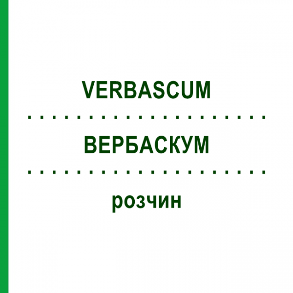 ВЕРБАСКУМ (VERBASCUM) розчин 20 мл - Гомеопатія NESTMANN PHARMA