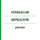 ВЕРБАСКУМ (VERBASCUM) розчин 20 мл - Гомеопатія NESTMANN PHARMA