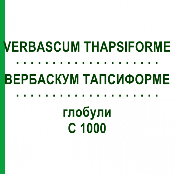 ВЕРБАСКУМ ТАПСИФОРМЕ (VERBASCUM THAPSIFORME) C 1000 глобули 1,5 г - Гомеопатія GUDJONS