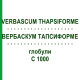 ВЕРБАСКУМ ТАПСИФОРМЕ (VERBASCUM THAPSIFORME) C 1000 глобули 1,5 г - Гомеопатія GUDJONS