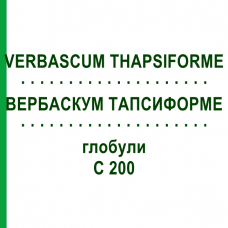 ВЕРБАСКУМ ТАПСИФОРМЕ (VERBASCUM THAPSIFORME) C 200 глобули 0,5 г - Гомеопатія GUDJONS