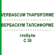 ВЕРБАСКУМ ТАПСИФОРМЕ (VERBASCUM THAPSIFORME) C 30 глобули 1,5 г - Гомеопатія GUDJONS