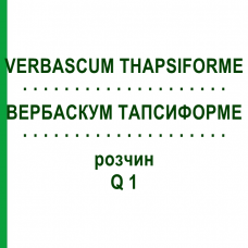 ВЕРБАСКУМ ТАПСИФОРМЕ (VERBASCUM THAPSIFORME) Q 1 розчин 15 мл - Гомеопатія GUDJONS