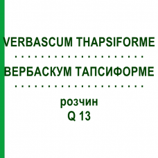 ВЕРБАСКУМ ТАПСИФОРМЕ (VERBASCUM THAPSIFORME) Q 13 розчин 15 мл - Гомеопатія GUDJONS