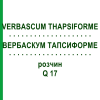 ВЕРБАСКУМ ТАПСИФОРМЕ (VERBASCUM THAPSIFORME) Q 17 розчин 15 мл - Гомеопатія GUDJONS