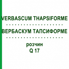 ВЕРБАСКУМ ТАПСИФОРМЕ (VERBASCUM THAPSIFORME) Q 17 розчин 15 мл - Гомеопатія GUDJONS