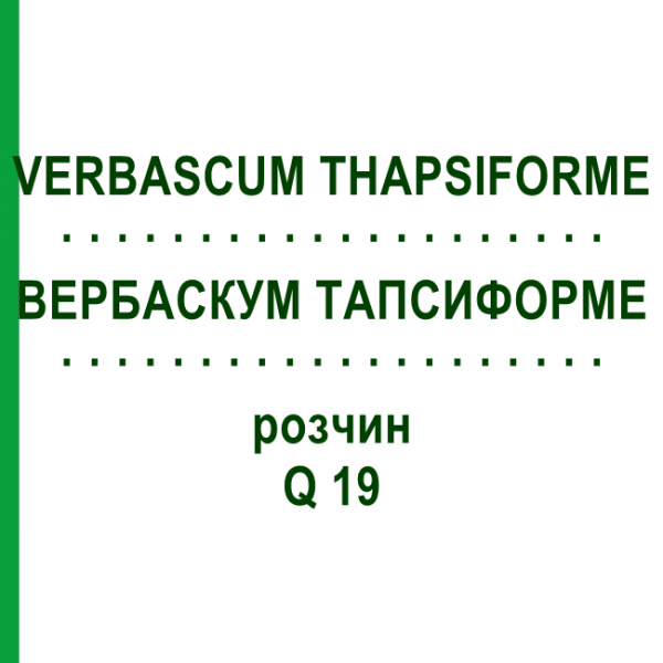 ВЕРБАСКУМ ТАПСИФОРМЕ (VERBASCUM THAPSIFORME) Q 19 розчин 15 мл - Гомеопатія GUDJONS