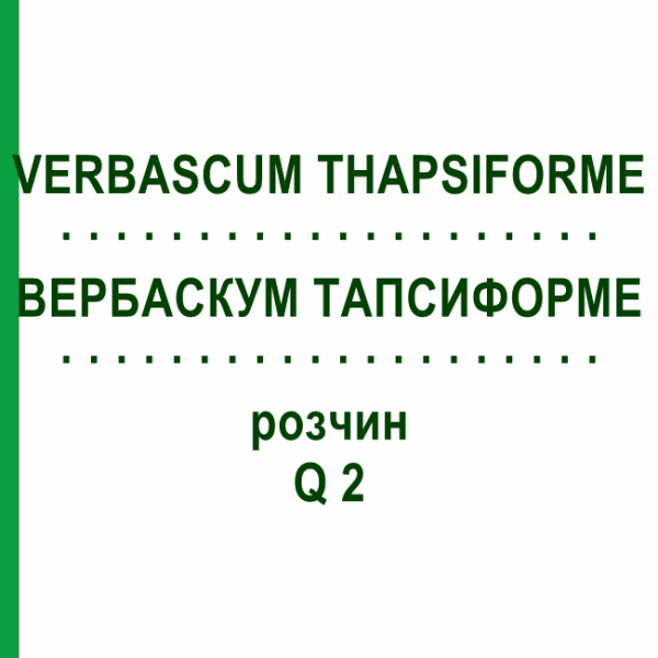 ВЕРБАСКУМ ТАПСИФОРМЕ (VERBASCUM THAPSIFORME) Q 2 розчин 15 мл - Гомеопатія GUDJONS